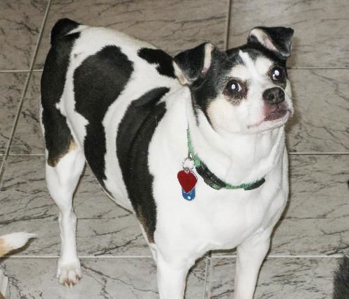 Maggie