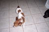Harvey