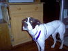 Kasey
