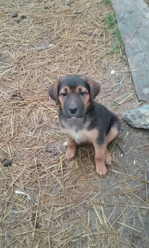 Maggie