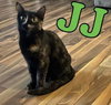 JJ - Photo 1