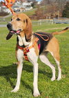 Lucy - Photo 2