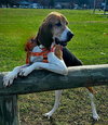 Lucy - Photo 1