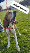 Lucy - Photo 5