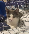Spook - Photo 3