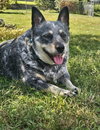 Mavis - Photo 2
