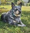 Mavis - Photo 3