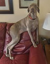 Ruby - Photo 4