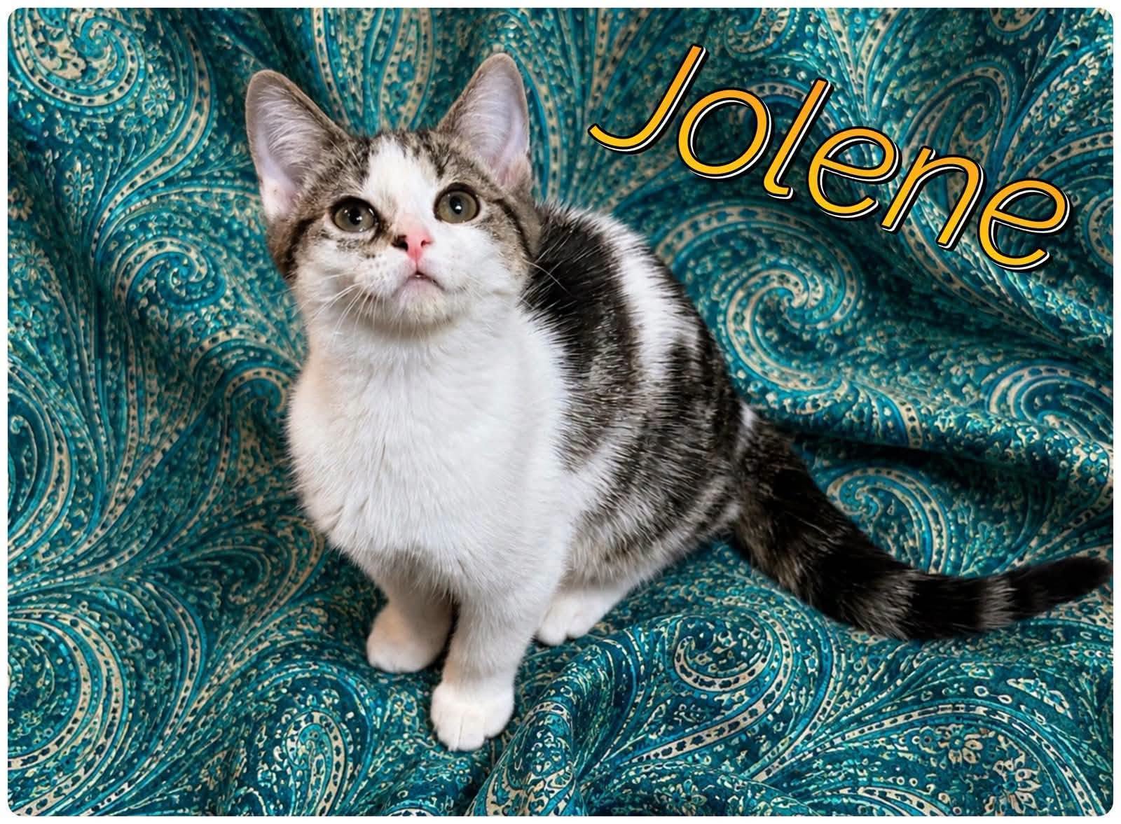 Boots and Jolene, photo 2