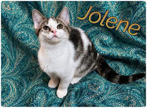 Photo 2 of Boots and Jolene