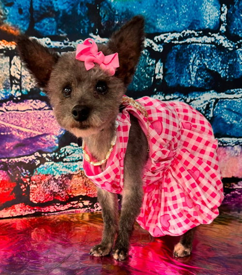 Photo 5 of Haley Grace