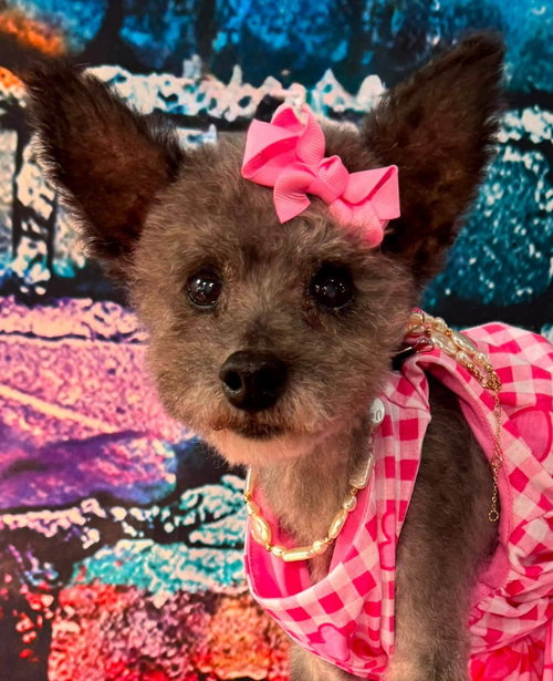 Photo 6 of Haley Grace