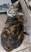 Sally - Photo 3