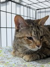Dorothy - Photo 2