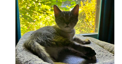Photo 3 of Princess