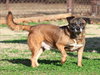 FRED - Photo 1