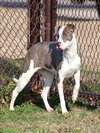 SADIE - Photo 1