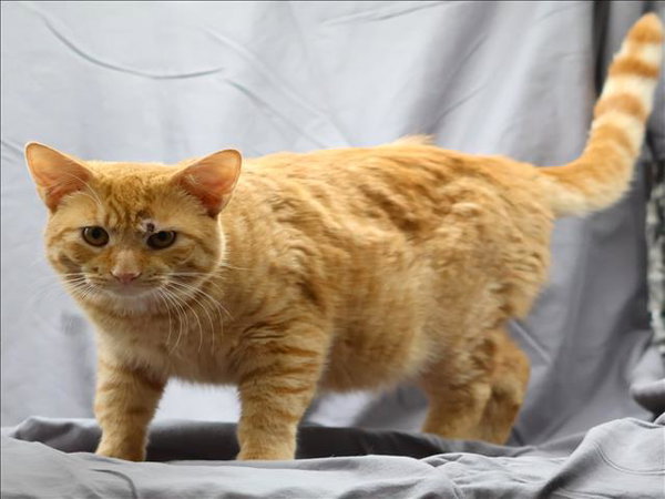 RUSTY