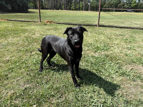 XENA