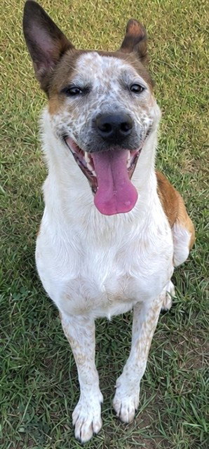 Maggie
