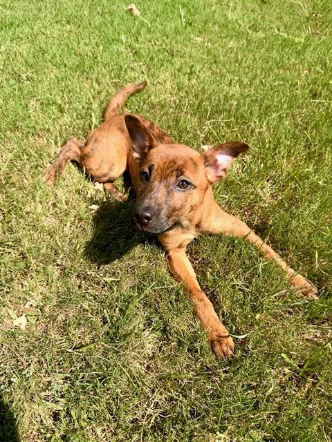 Winnie