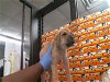 adoptable Dog in hou, TX named EMPEROR