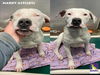 adoptable Dog in Houston, TX named MARKY MARK SNOW