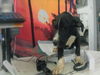 adoptable Dog in  named OILLIE