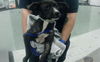 adoptable Dog in  named A2024195