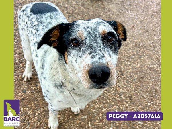 PEGGY