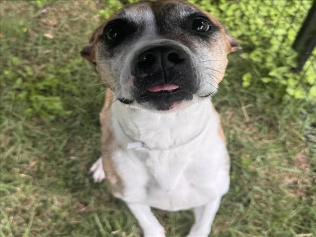 FIONA