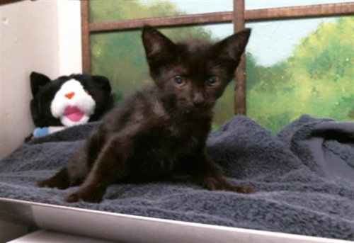 EDMUND