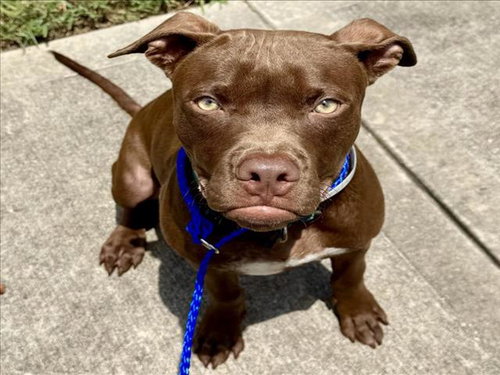 Roscoe