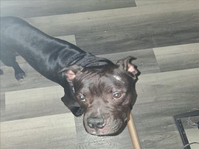 Marco