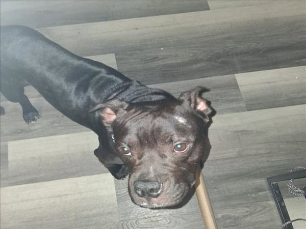 MARCO