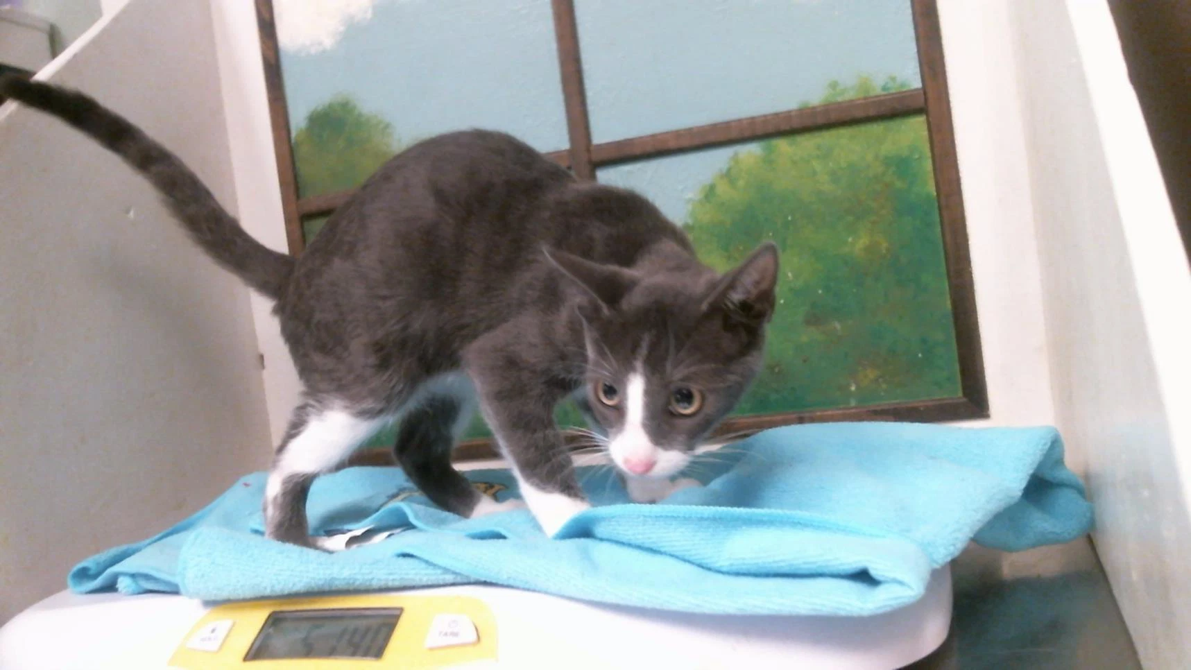Unknown