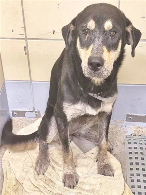 Jenga image 1