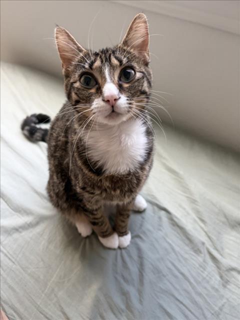 GATI