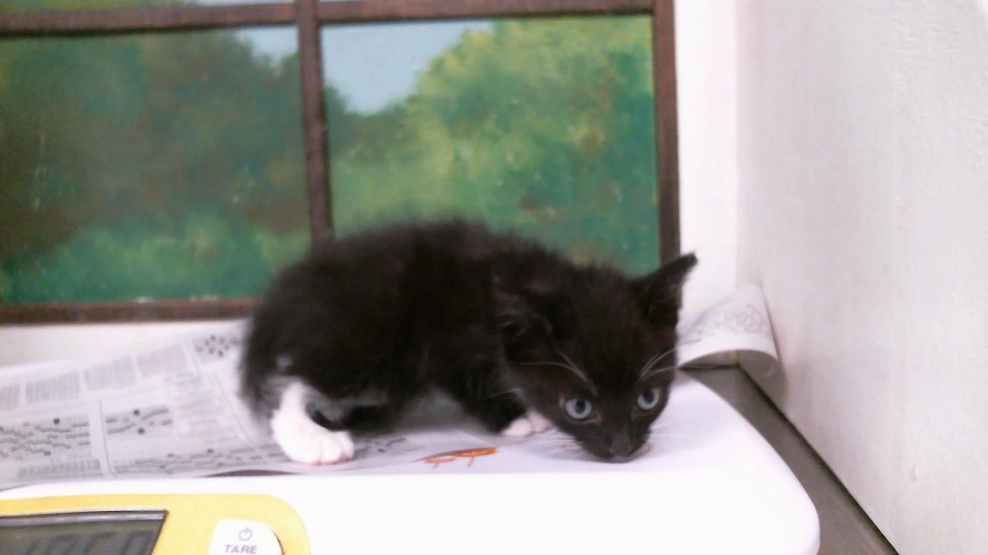 Luna