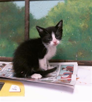 Oliver