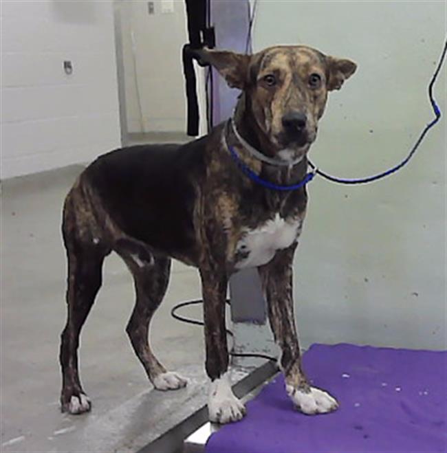Max
