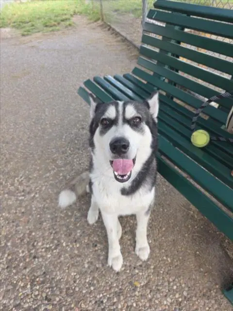 Tasha image 1
