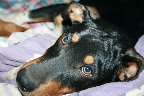 **Rio**