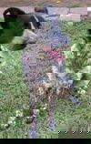 *Courtesy Listing*Abby