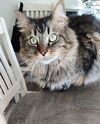Mitty