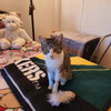 Jill Kitty