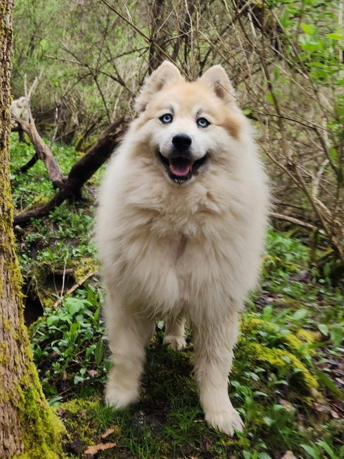 Bear Kendall, photo 3