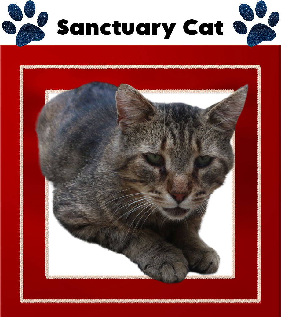 Tom