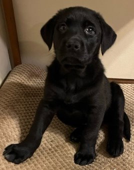 Jett