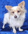 Benny Walworth Kramer - Photo 2